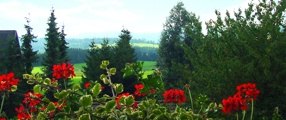 Ferienwohnung Rossberghäusle in Breitnau - Südlicher Schwarzwald