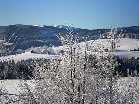 Schwarzwald