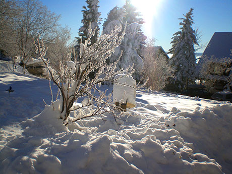 Breitnau im  Schwarzwald 