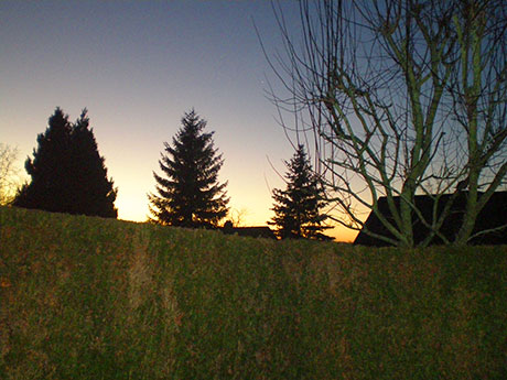 Breitnau im  Schwarzwald 