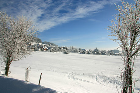 Breitnau im  Schwarzwald 