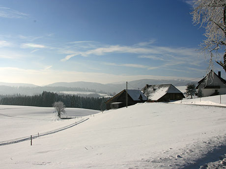 Breitnau im  Schwarzwald 