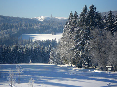 Schwarzwald