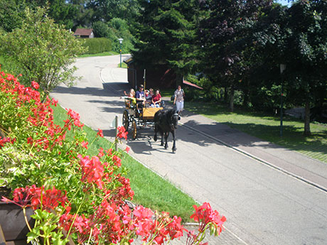 Breitnau im  Schwarzwald 