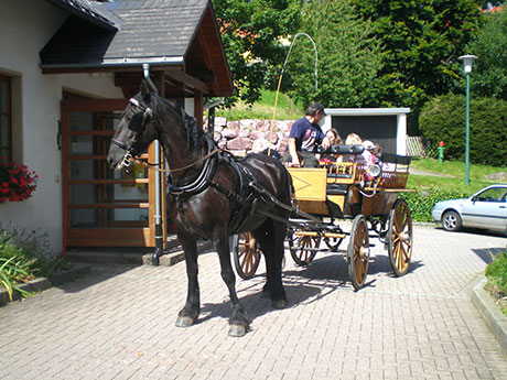 Breitnau im  Schwarzwald 