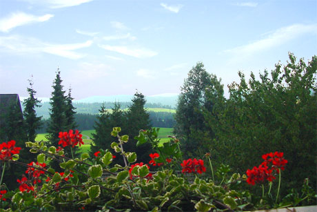 Blick vom Balkon auf den Feldberg