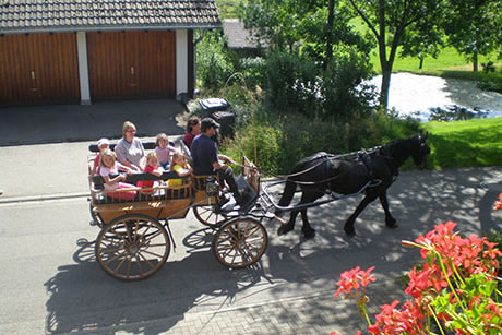 Ferienwohnung Rossberghäusle in Breitnau - Südlicher Schwarzwald