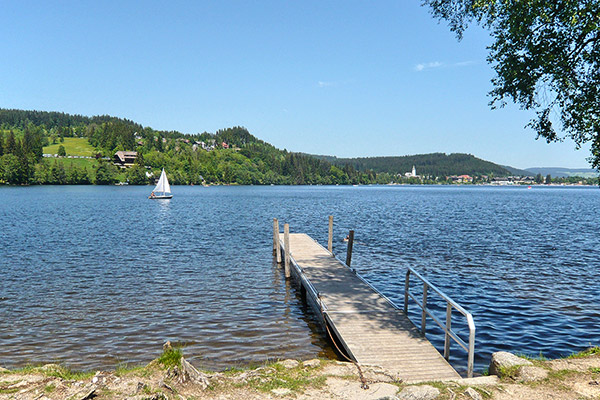 Wandern und Radfahren am Titisee