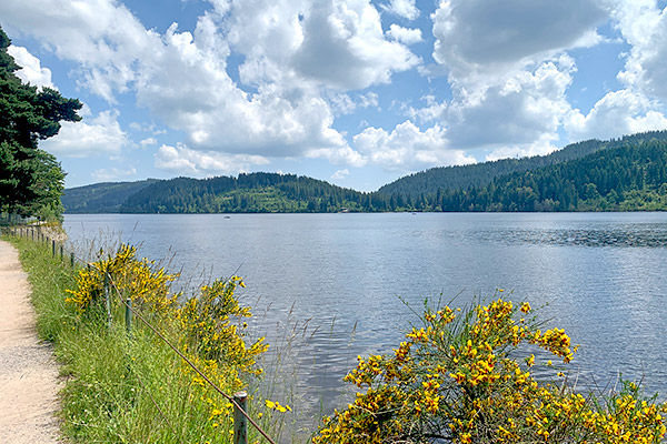Schluchsee