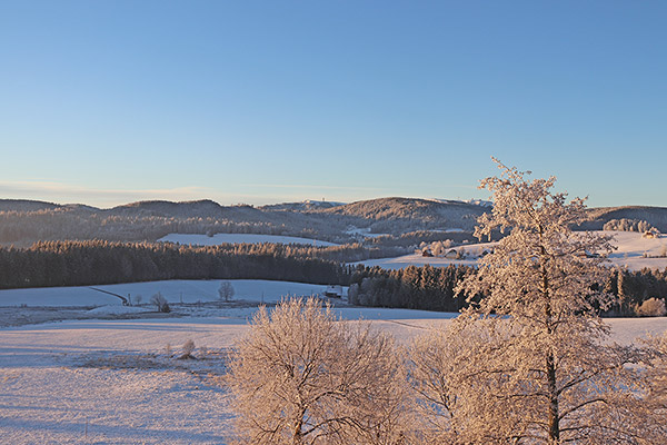 Blick auf den verschneiten Feldberg